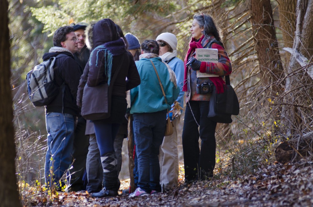 A wonderful tree walk! | Friends of Glen Providence Park