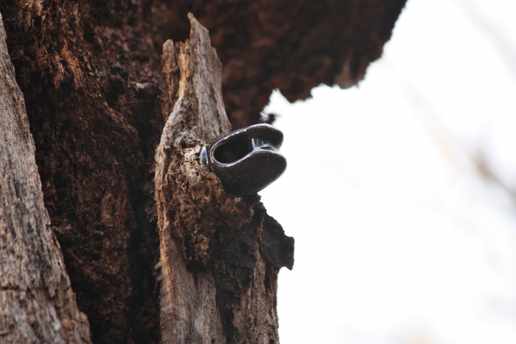 Hardware in tree | Friends of Glen Providence Park