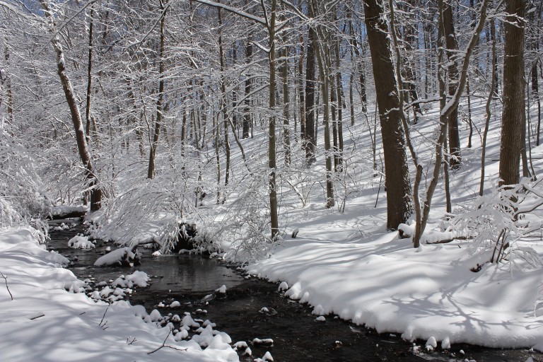 Broomall’s Run | Friends of Glen Providence Park