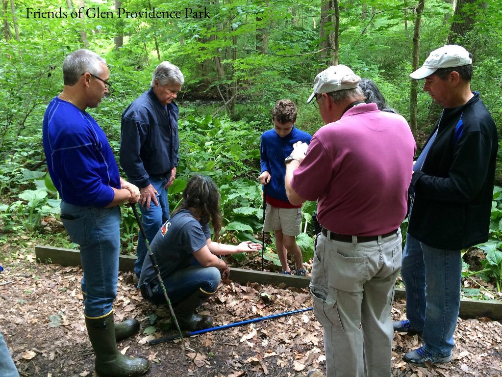 Herpetology Walk 