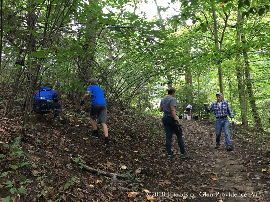 Deer fencing | Friends of Glen Providence Park